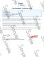 https://cdn.americancec.com/samples/am/loe-sample.jpg