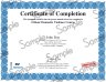 https://cdn.americancec.com/samples/dvm/dvm_certificate.jpg